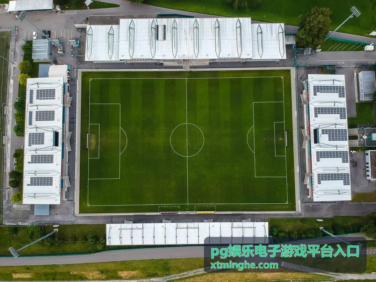 日常任务规划玩法技巧封面图