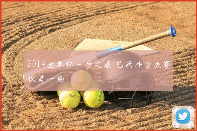 2014世界杯一步之遥 巴西冲击决赛仅差一场