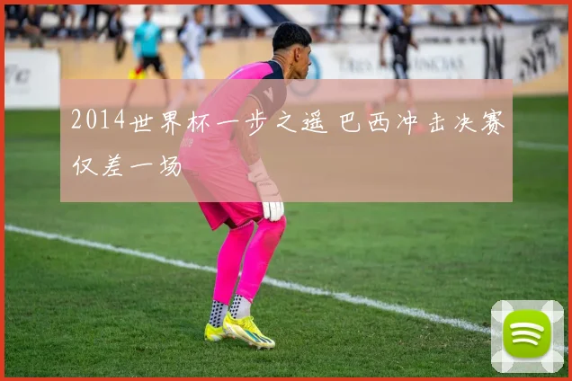 2014世界杯一步之遥 巴西冲击决赛仅差一场