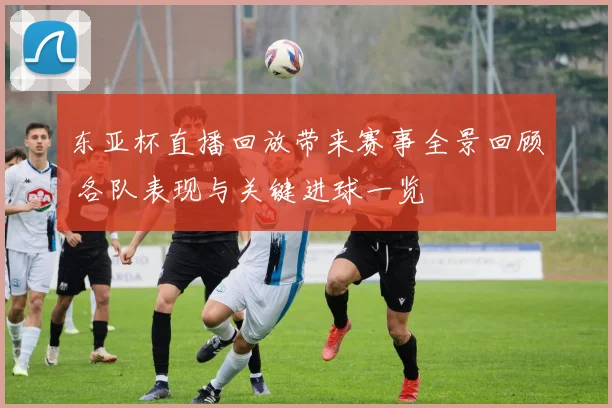 东亚杯直播回放带来赛事全景回顾 各队表现与关键进球一览